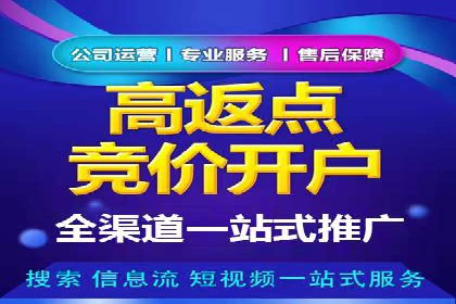经典案例：专业SEM托管如何实现ROI最大化